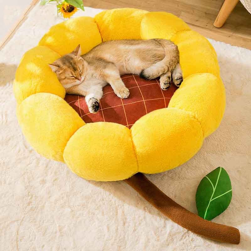 Girly dog hot sale beds