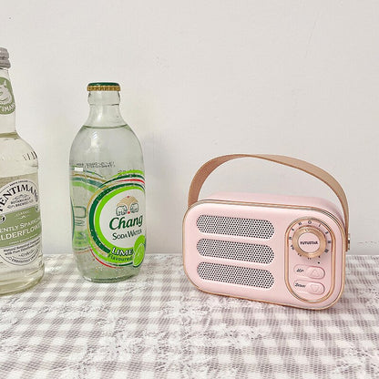 Retro Mini Bluetooth Speaker Radio - Lia's Room