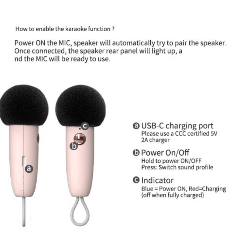 Mini Portable Karaoke Speaker with Voice Change, FM Radio, TF Card Features - Lia's Room