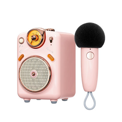 Mini Portable Karaoke Speaker with Voice Change, FM Radio, TF Card Features - Lia's Room