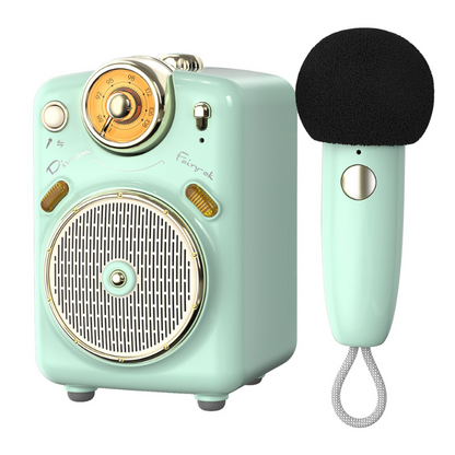 Mini Portable Karaoke Speaker with Voice Change, FM Radio, TF Card Features - Lia's Room