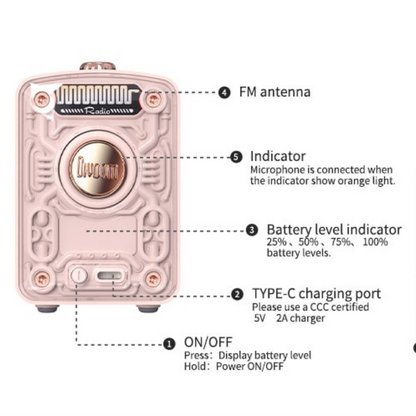 Mini Portable Karaoke Speaker with Voice Change, FM Radio, TF Card Features - Lia's Room