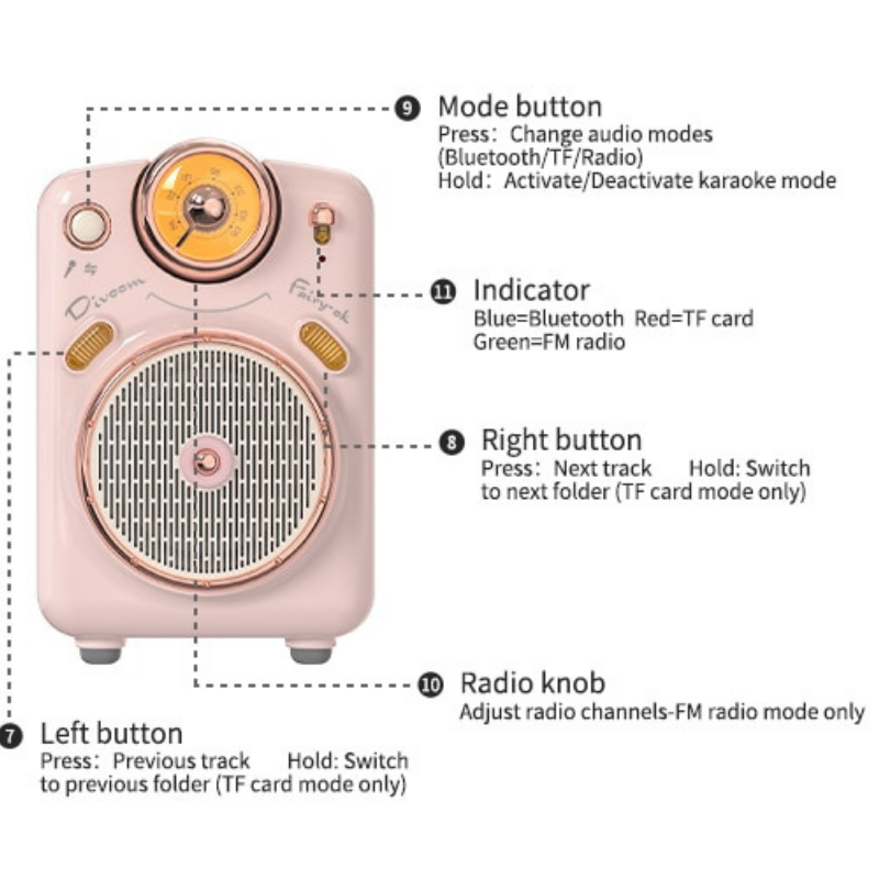 Mini Portable Karaoke Speaker with Voice Change, FM Radio, TF Card Features - Lia's Room