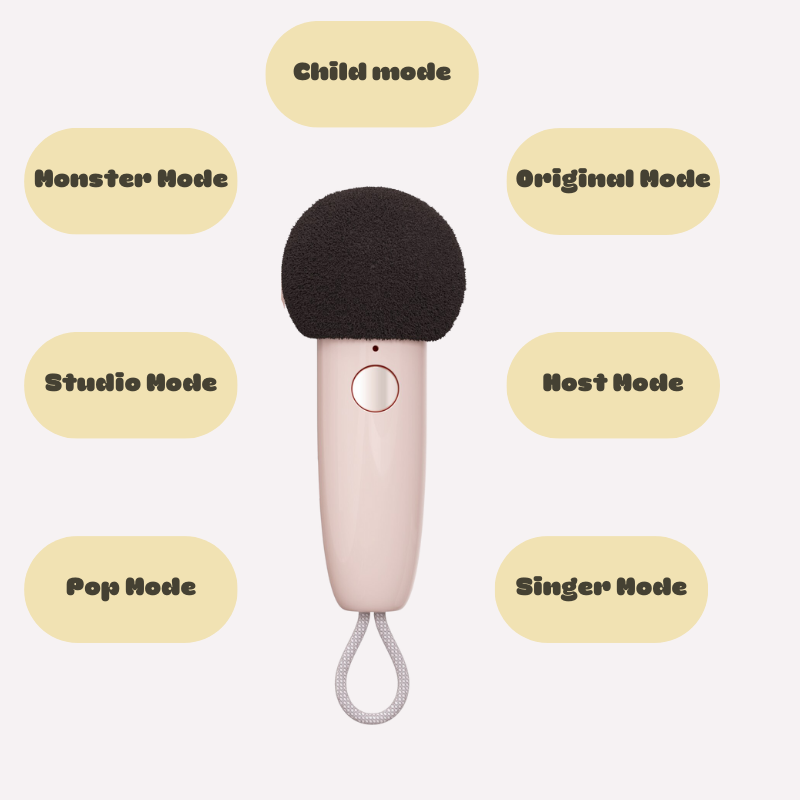 Mini Portable Karaoke Speaker with Voice Change, FM Radio, TF Card Features - Lia's Room