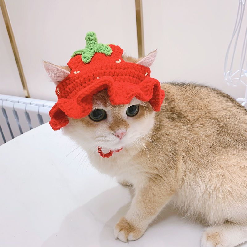 Fashion Handmade Knitted Cat Hat - Lia's Room