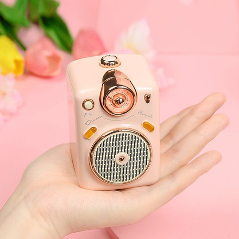 Mini Portable Karaoke Speaker with Voice Change, FM Radio, TF Card Features - Lia's Room